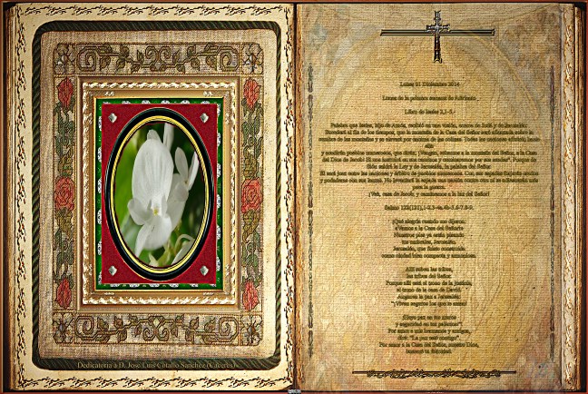 Libro de Isaías 2,1-5.