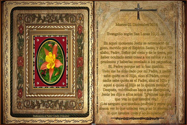 Evangelio según San Lucas 10,21-24.