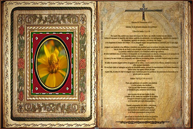 Libro de Isaías 11,1-10.