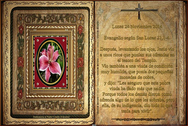 Evangelio según San Lucas 21,1-4.