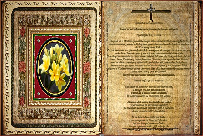 Jose Antonio Cotallo López