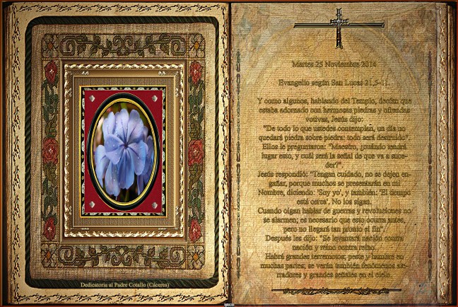 Jose Antonio Cotallo López