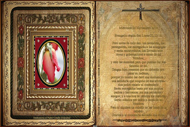 Jose Antonio Cotallo López