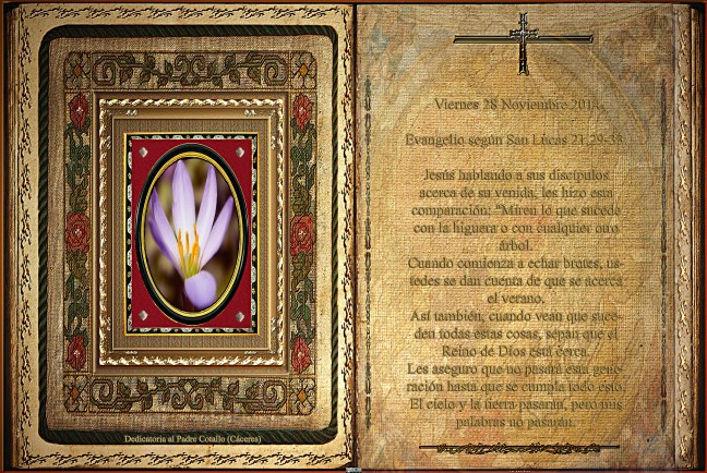 Jose Antonio Cotallo López