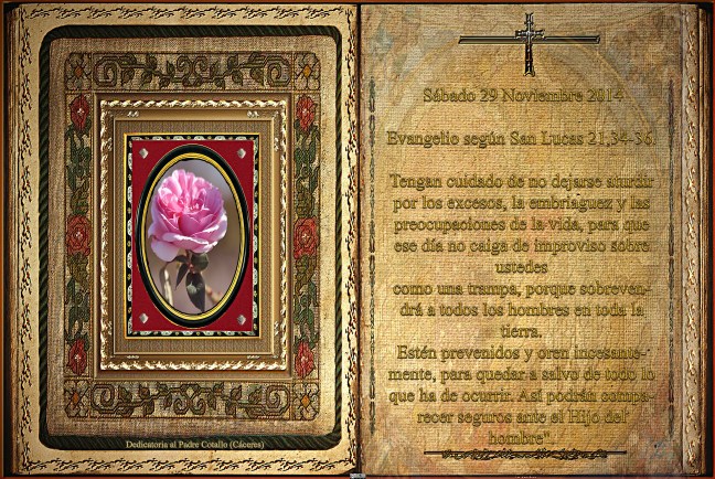  Evangelio según San Lucas 21,34-36. 