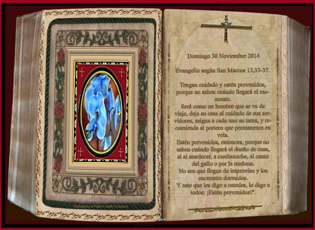  Evangelio según San Marcos 13,33-37. 
