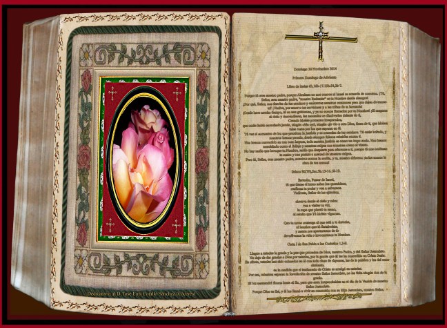  Libro de Isaías 63,16b-17.19b.64,2b-7.