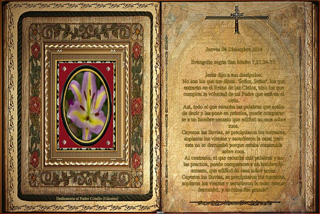  Evangelio según San Mateo 7,21.24-27.