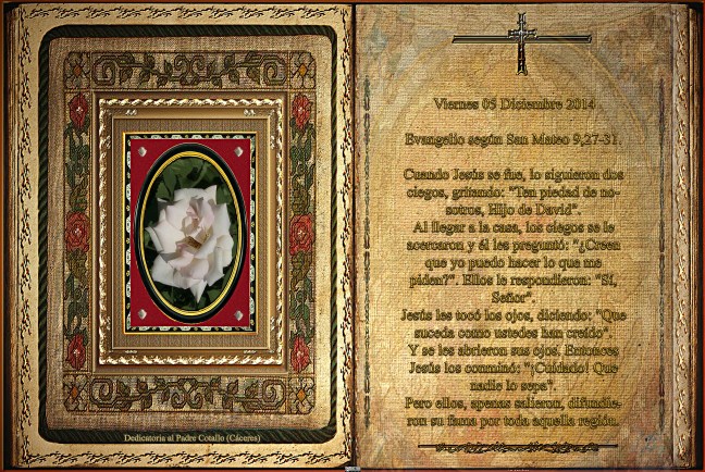 Evangelio según San Mateo 9,27-31.