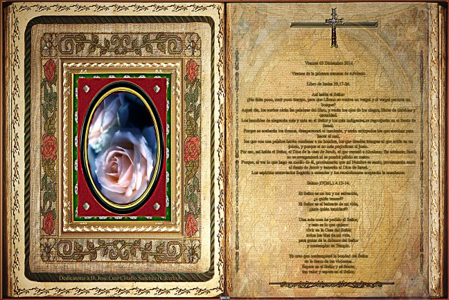  Libro de Isaías 29,17-24.