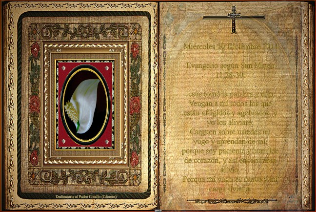  Evangelio según San Mateo 11,28-30.