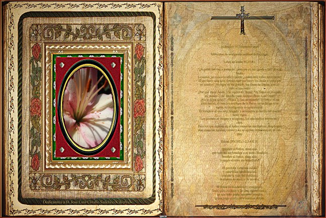 Libro de Isaías 40,25-31.