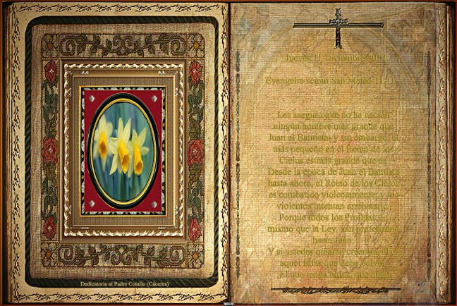  Evangelio según San Mateo 11,11-15.