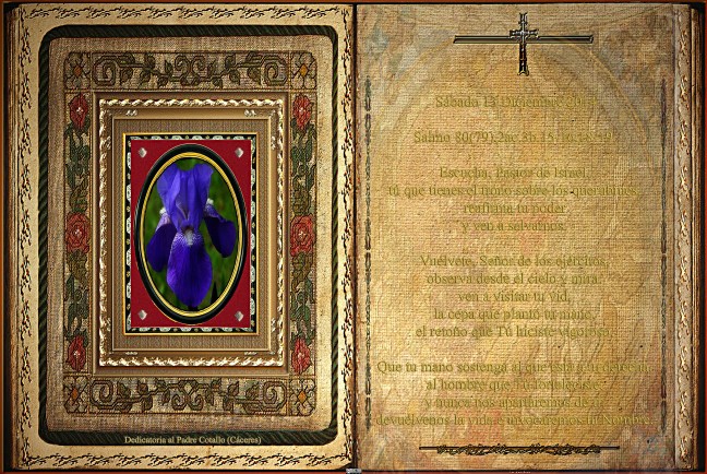 Jose Antonio Cotallo López