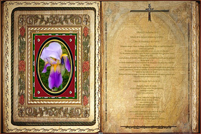 Jose Antonio Cotallo López