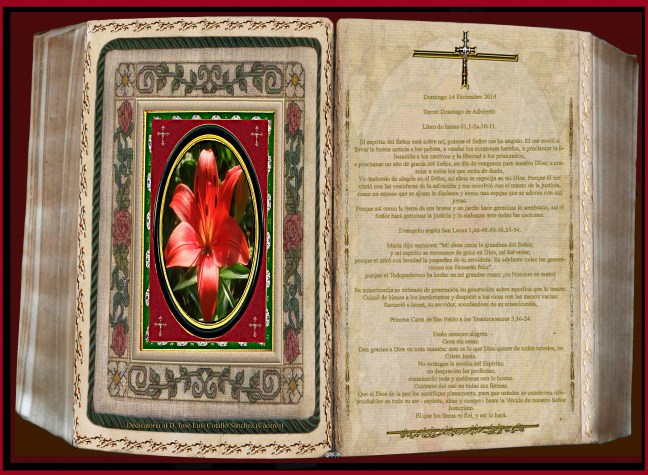 Jose Antonio Cotallo López