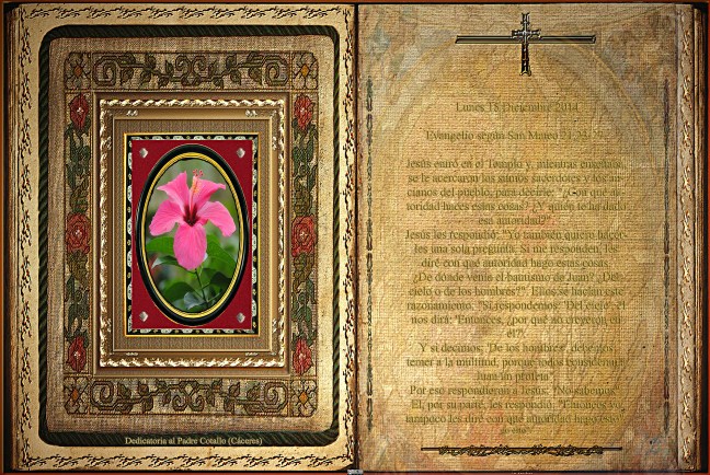 Jose Antonio Cotallo López