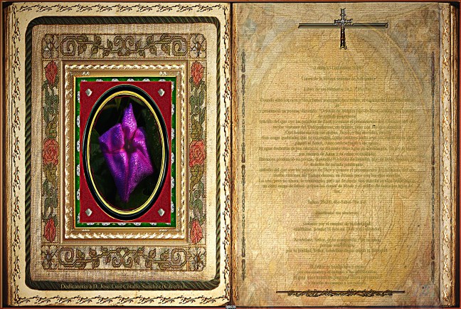 Jose Antonio Cotallo López