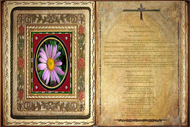 Jose Antonio Cotallo López