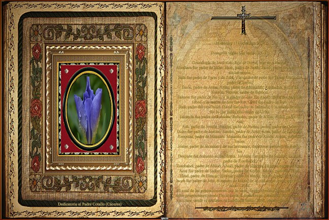 Jose Antonio Cotallo López