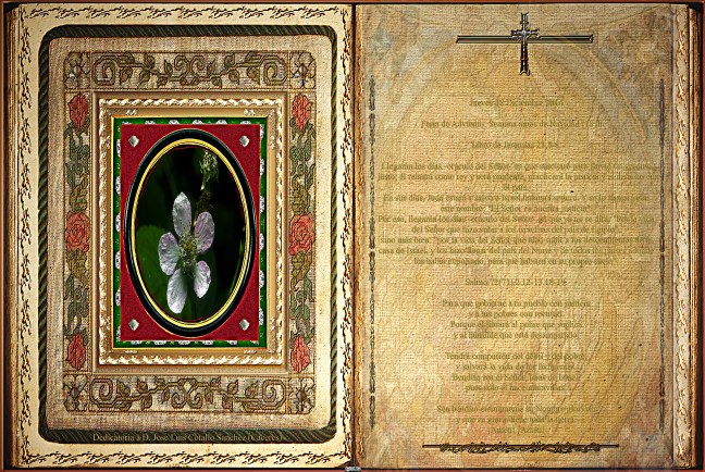 Jose Antonio Cotallo López