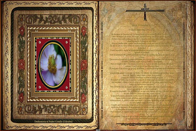 Jose Antonio Cotallo López