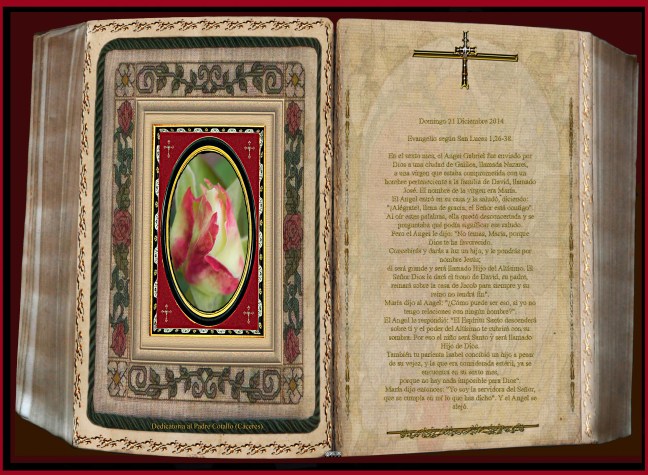 Jose Antonio Cotallo López