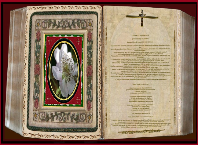 Jose Antonio Cotallo López