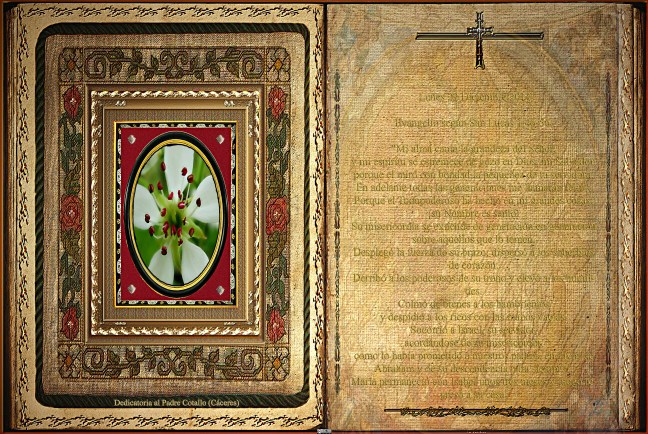 Jose Antonio Cotallo López