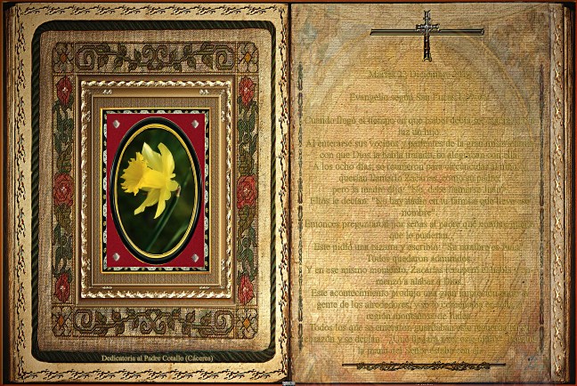 Jose Antonio Cotallo López