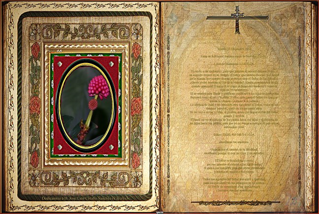 Jose Antonio Cotallo López