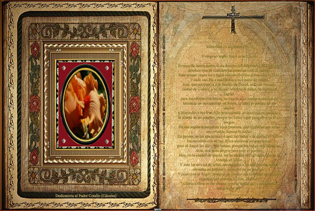 Jose Antonio Cotallo López