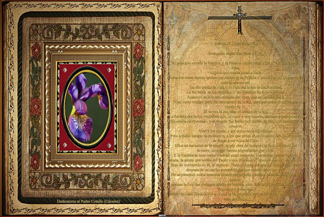 Jose Antonio Cotallo López