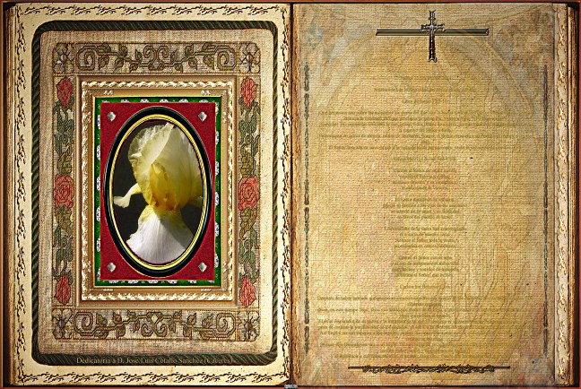 Jose Antonio Cotallo López