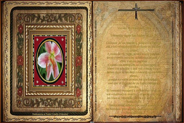 Jose Antonio Cotallo López