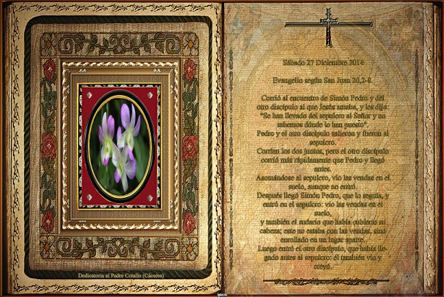 Sábado 27 Diciembre 2014   Evangelio según San Juan 20,2-8.