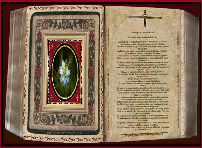 Jose Antonio Cotallo López