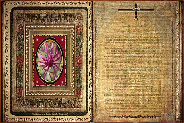 Jose Antonio Cotallo López