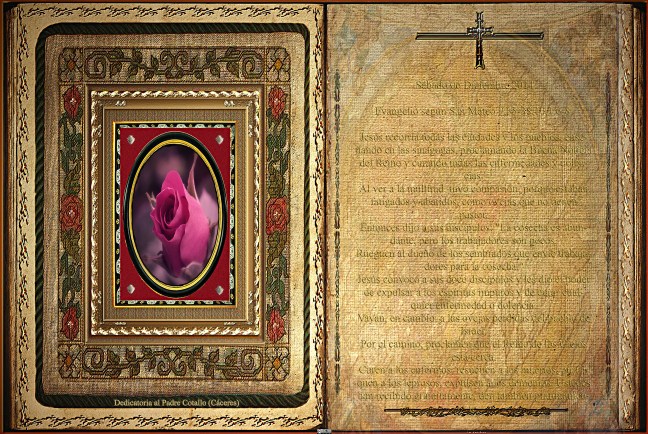  Evangelio según San Mateo 9,35-38.10,1.6-8.