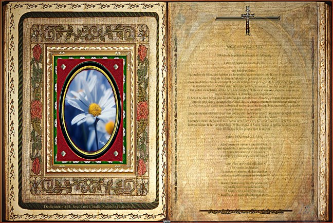 Libro de Isaías 30,19-21.23-26.