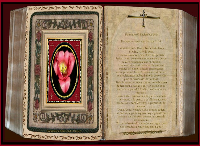 Evangelio según San Marcos 1,1-8.