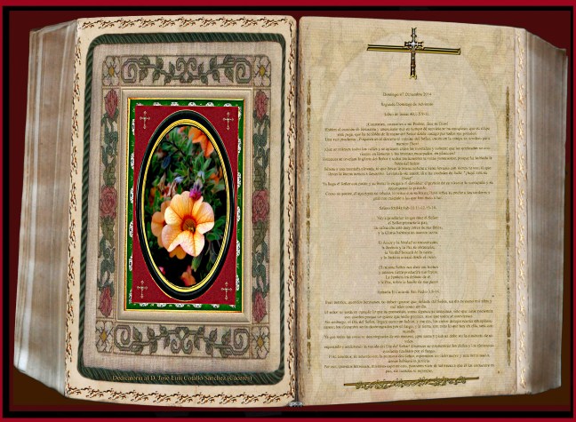  Libro de Isaías 40,1-5.9-11.