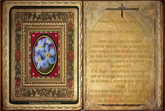  Evangelio según San Mateo 18,12-14.