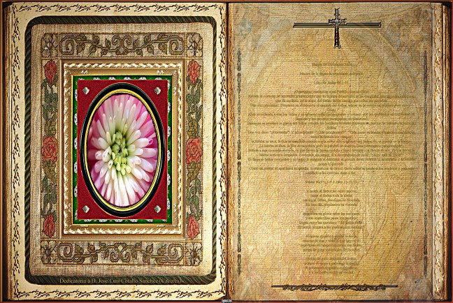 Libro de Isaías 40,1-11.