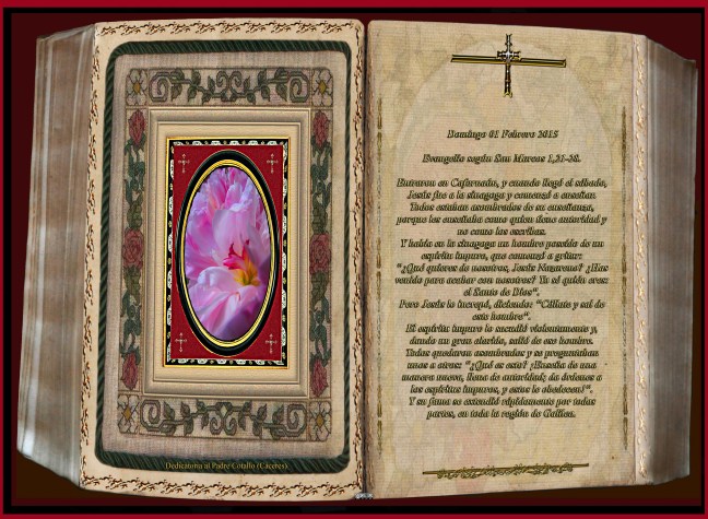 Jose Antonio Cotallo López