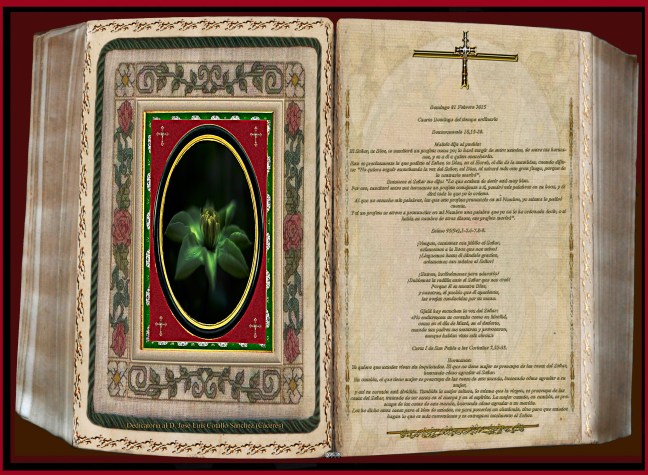 jose Antonio Cotallo Lopez