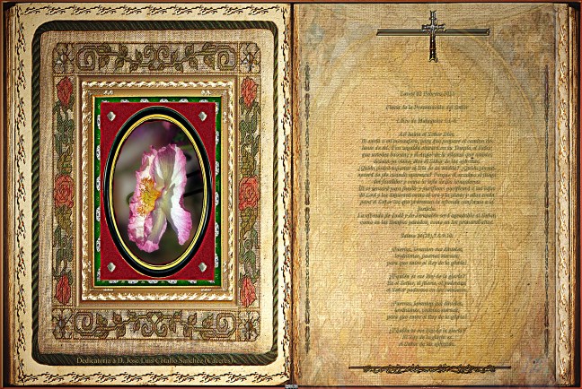 Jose Antonio Cotallo López