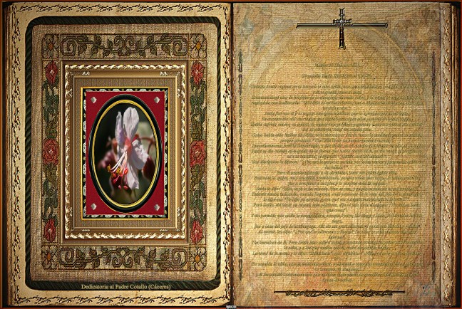 Jose Antonio Cotallo López