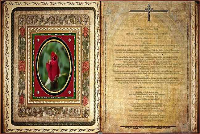 Jose Antonio Cotallo López