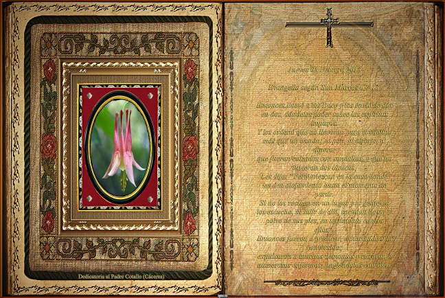 Jose Antonio Cotallo López